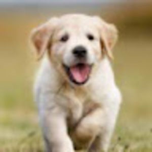 Meet your Posher, Louisa